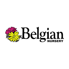 Belgian Nursery